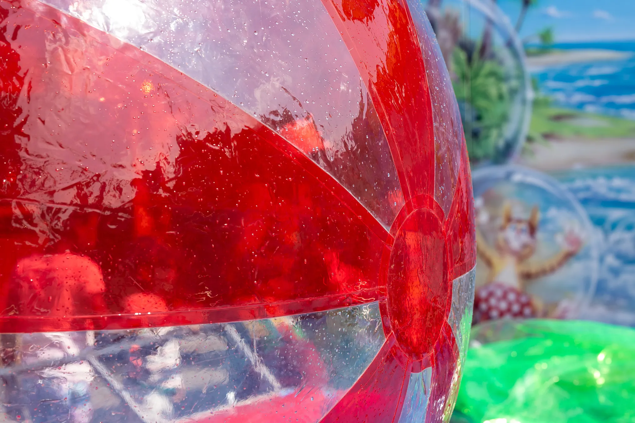 In einem transparenten roten XXL-Wasserball bewegt sich eine Person auf einem Pool.